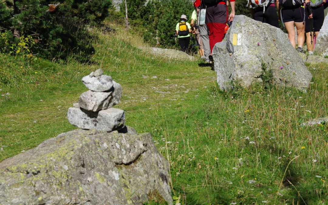 Federación Española de Deportes de Montaña y Escalada