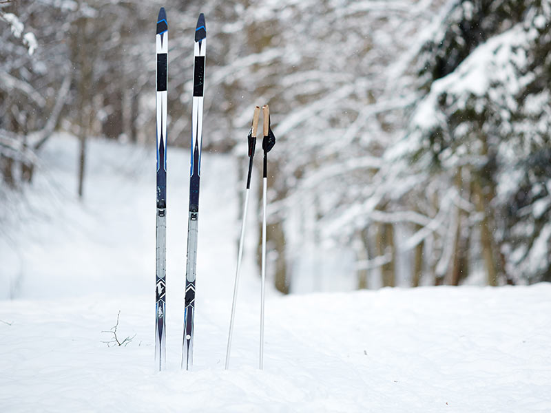 Cómo escoger tus bastones de esquí?
