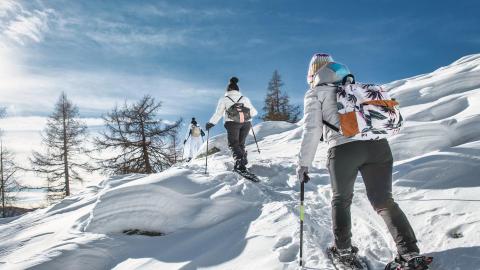 Beneficios del senderismo con raquetas de nieve para la salud y el bienestar